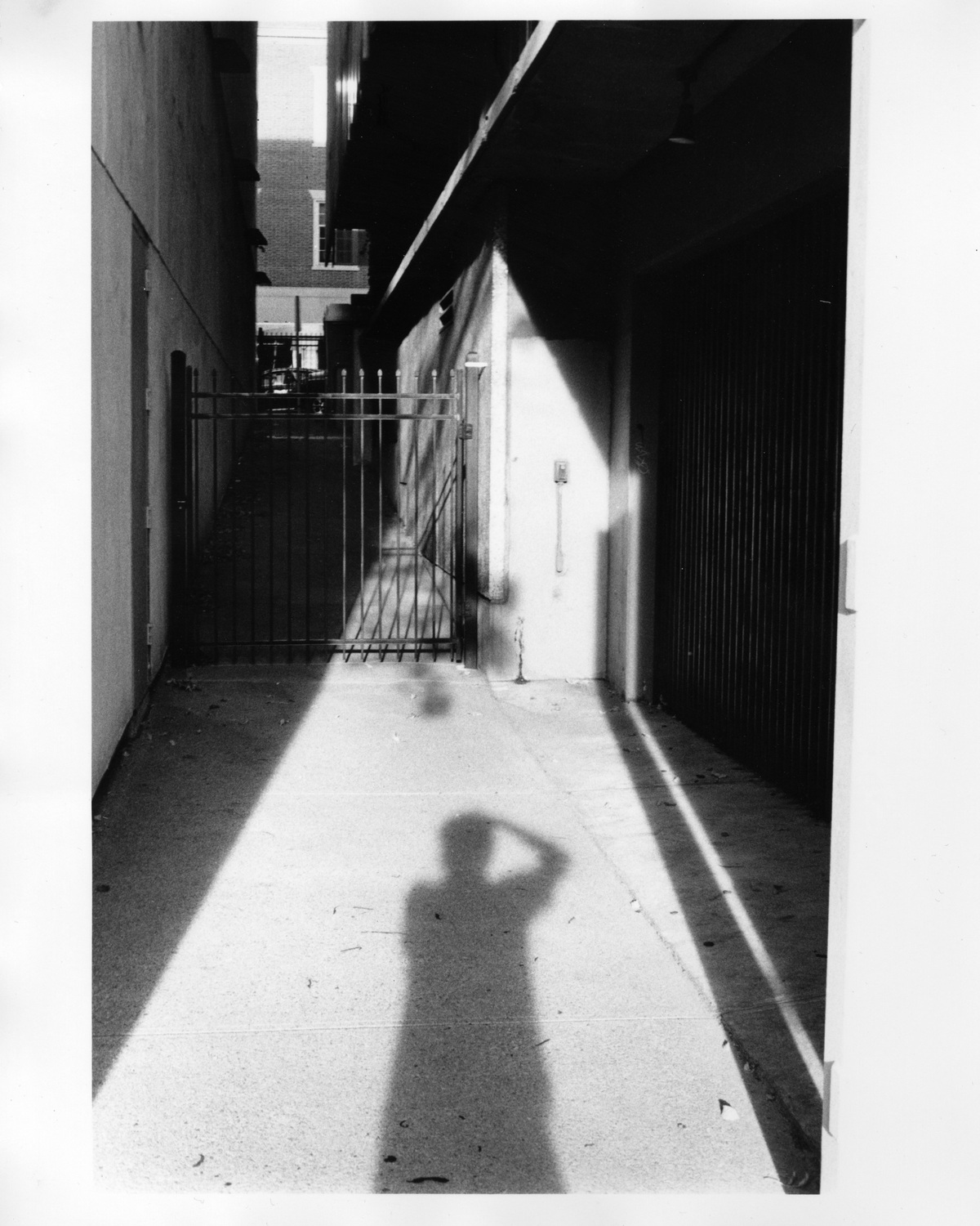 Analogue Photo, image 6