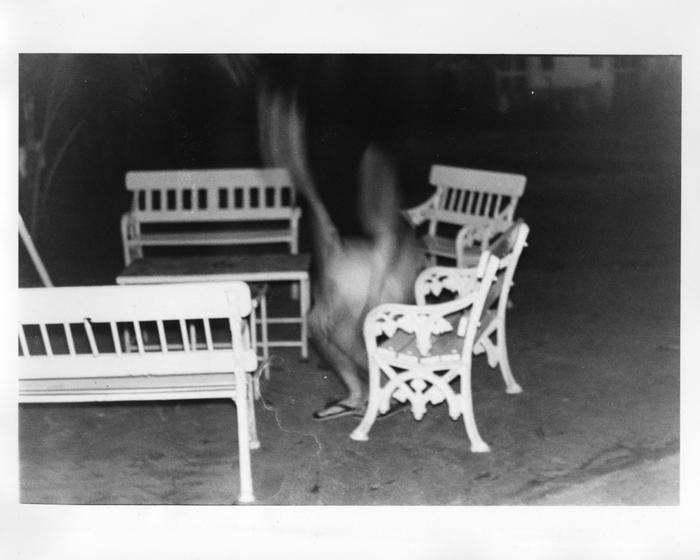 Analogue Photo, image 1