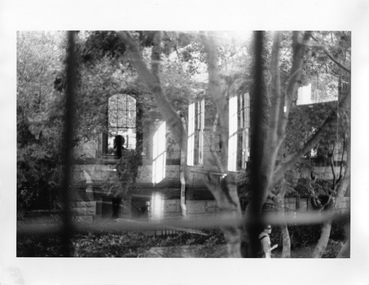 Analogue Photo, image 11