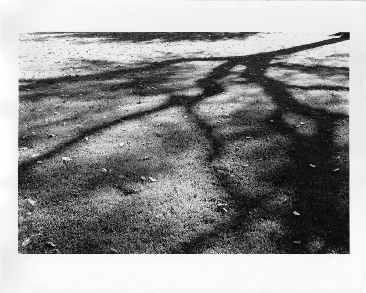 Analogue Photo, image 9
