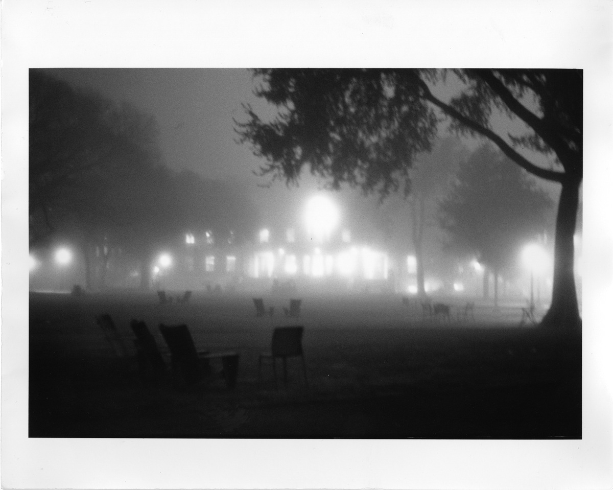 Analogue Photo, image 4