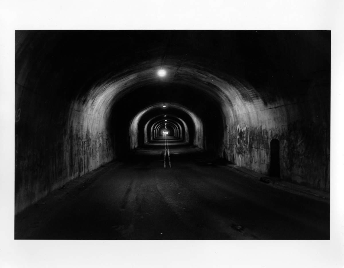 Analogue Photo, image 7