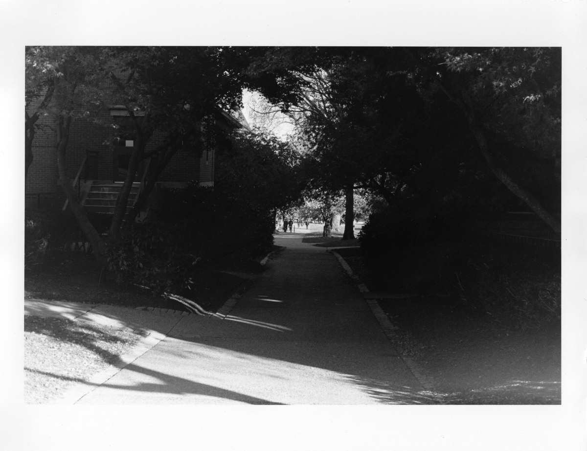 Analogue Photo, image 14