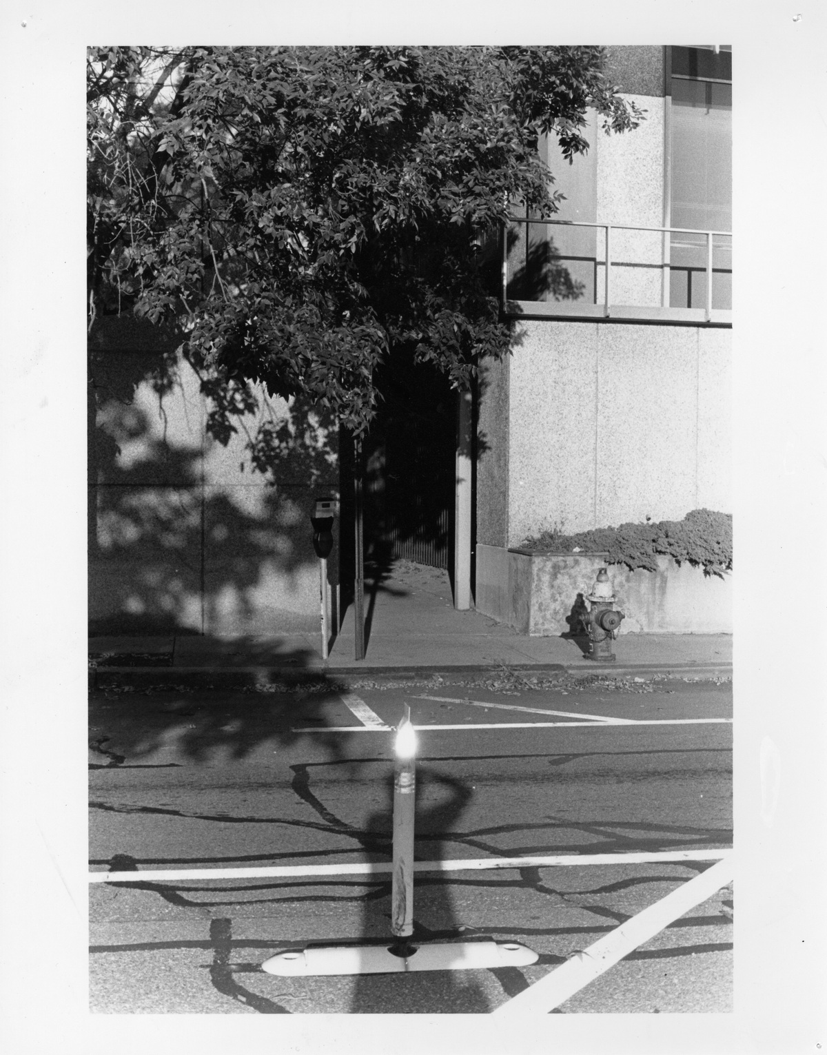 Analogue Photo, image 15