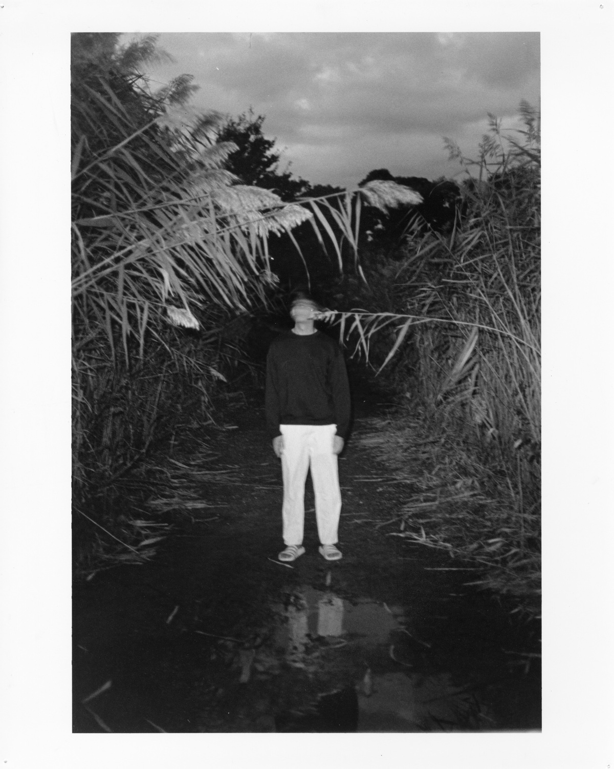 Analogue Photo, image 16