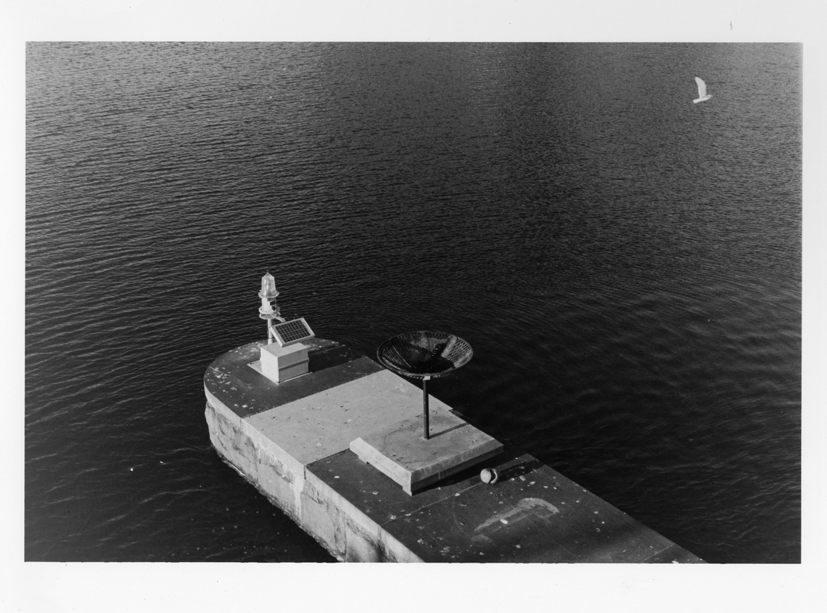 Analogue Photo, image 12
