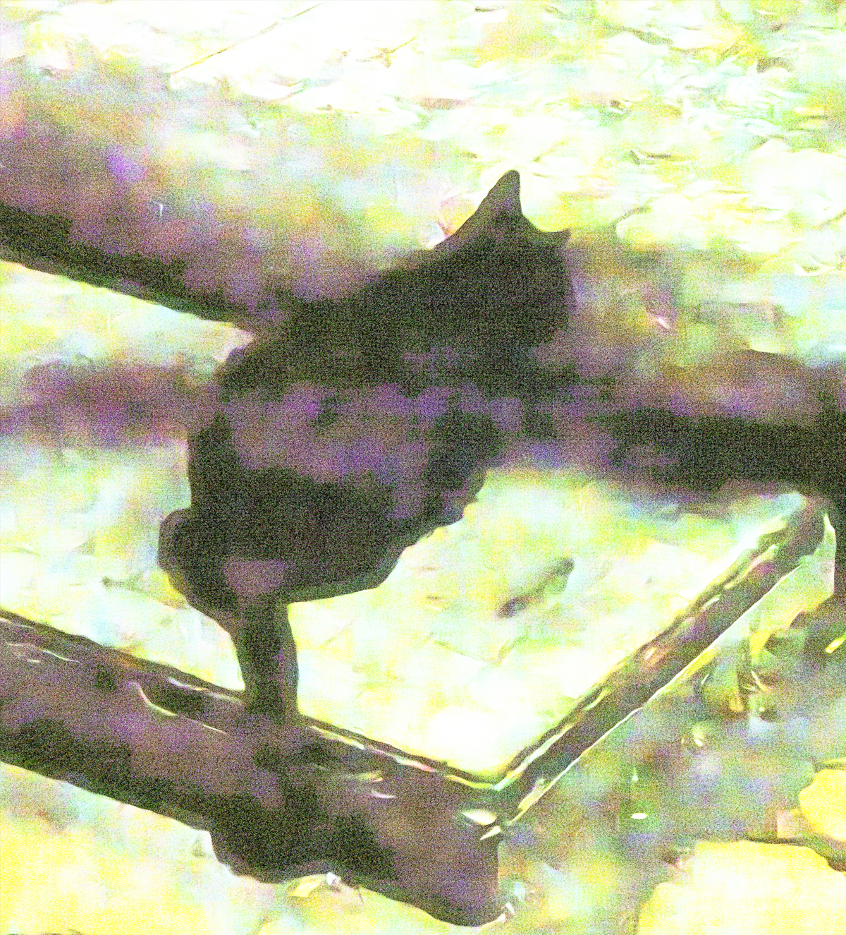 Belief/Broken Numbers, image 11