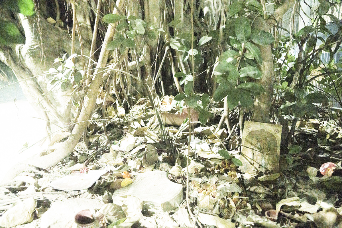 Belief/Broken Numbers, image 8