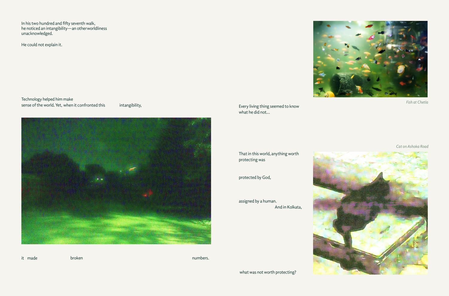 Belief/Broken Numbers, image 17