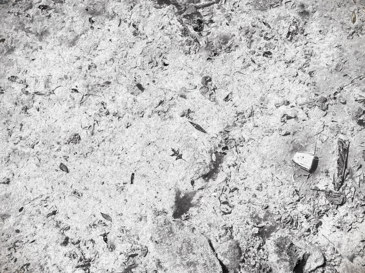 Digital Detritus, image 12