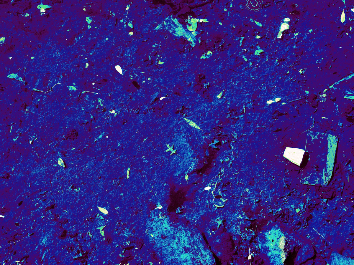 Digital Detritus, image 11