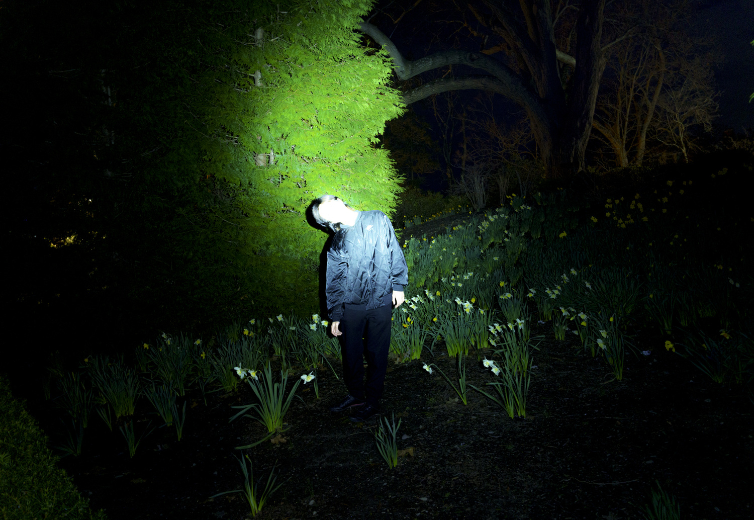 (Dis)Location/Orientation, image 22