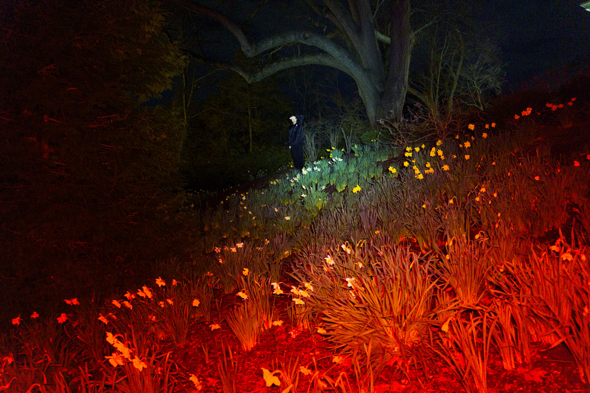 (Dis)Location/Orientation, image 4