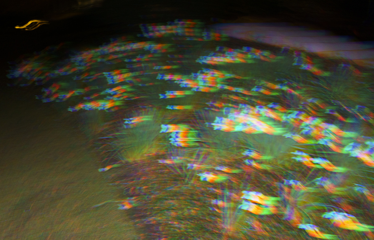 (Dis)Location/Orientation, image 3