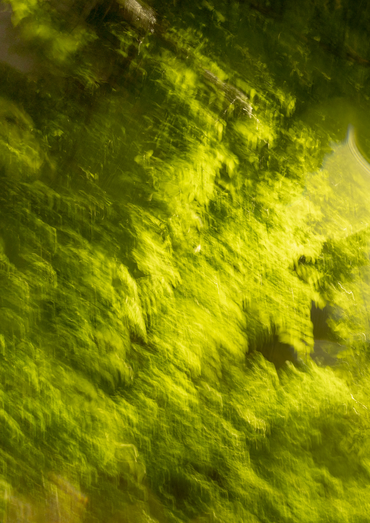 (Dis)Location/Orientation, image 29