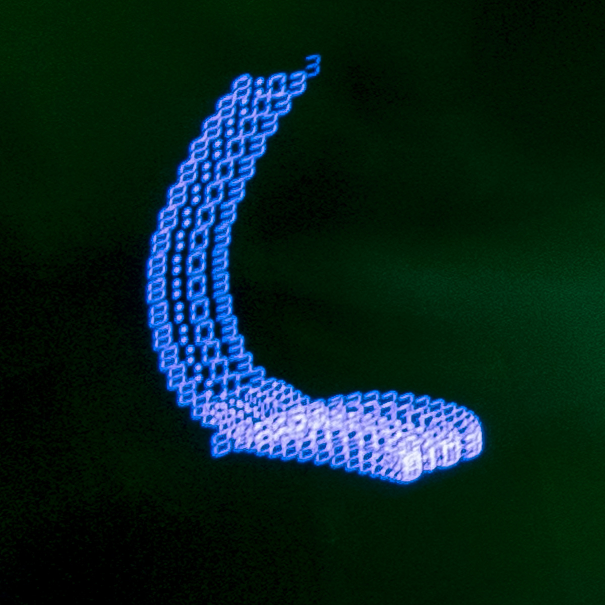 (Dis)Location/Orientation, image 5