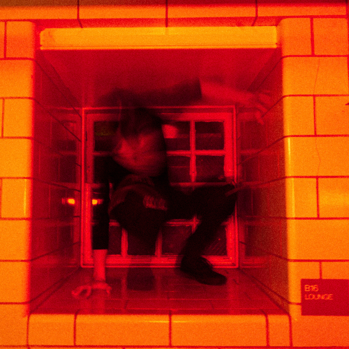 (Dis)Location/Orientation, image 32