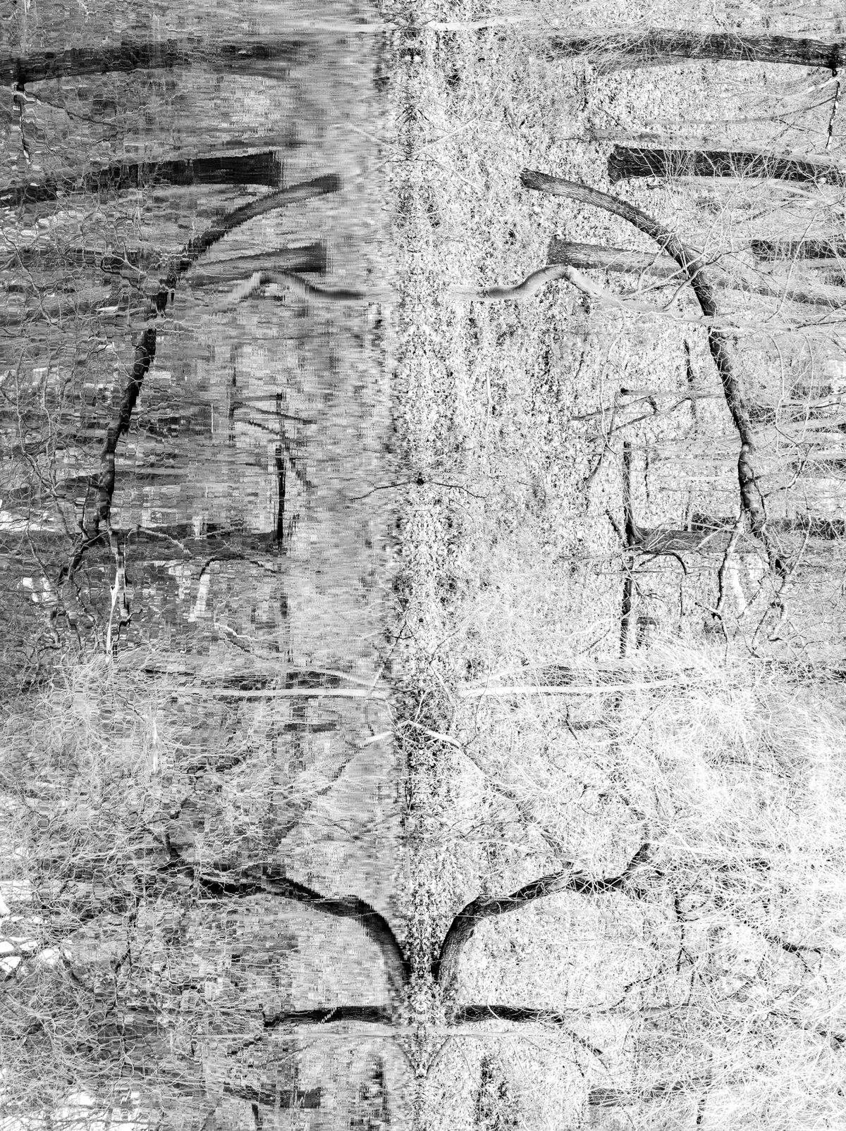 Experiments with Form, image 21