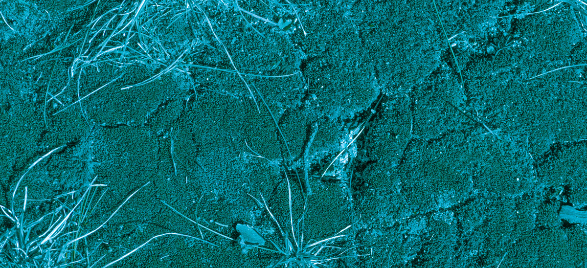 Experiments with Form, image 15