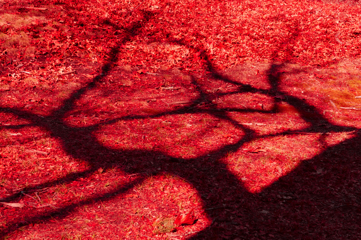 Experiments with Form, image 27