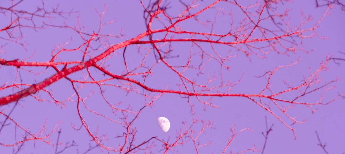 Experiments with Form, image 16