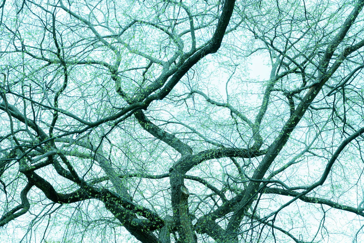 Experiments with Form, image 18