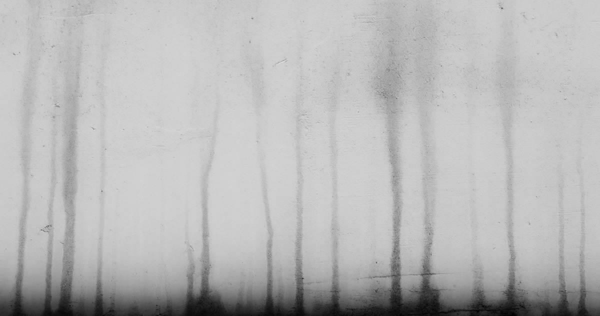 Experiments with Form, image 14
