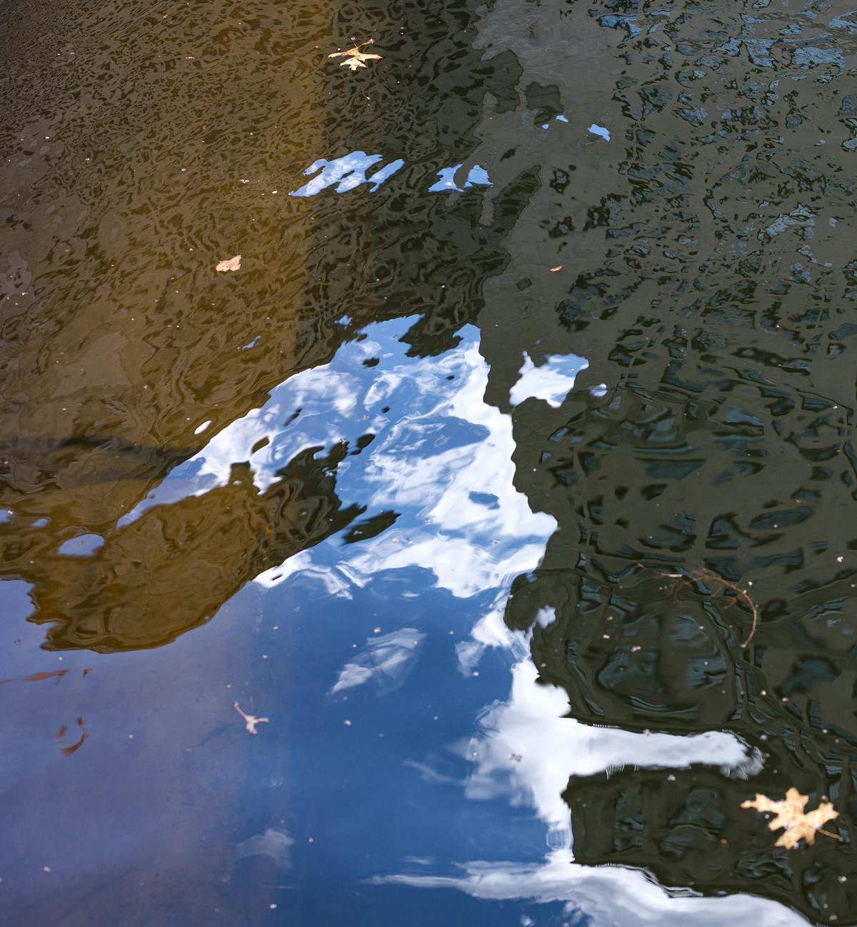 Experiments with Form, image 25