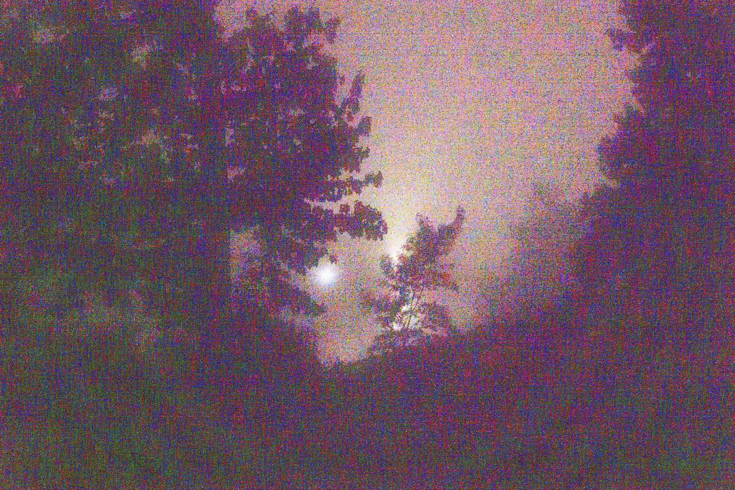 Experiments With Noise, image 9