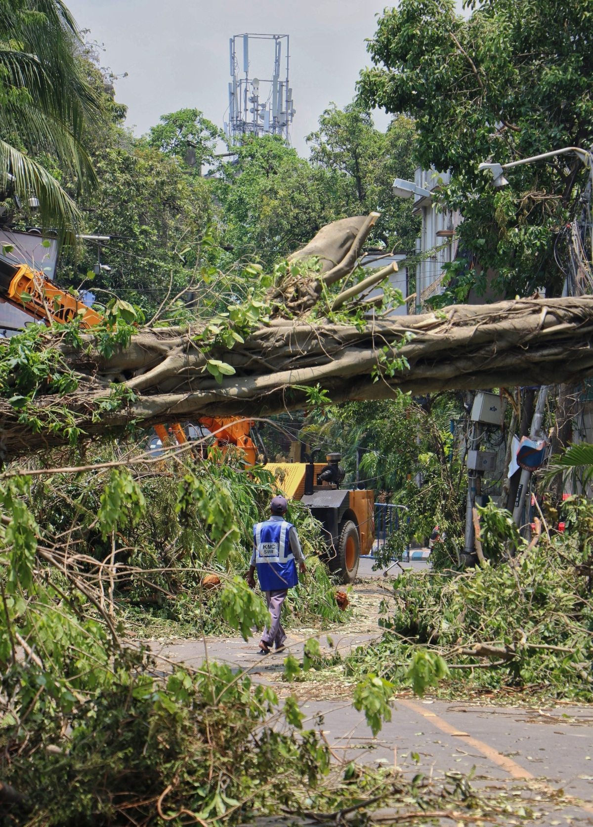 Kolkata, image 22