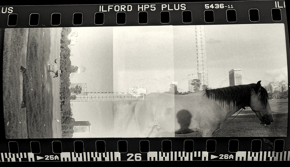 Kolkata, image 20