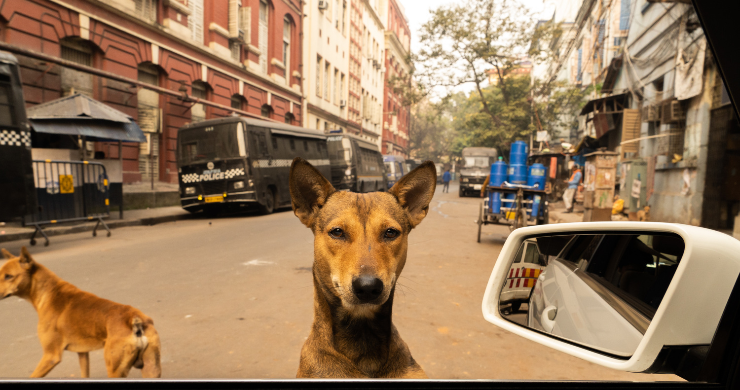 Kolkata, image 12
