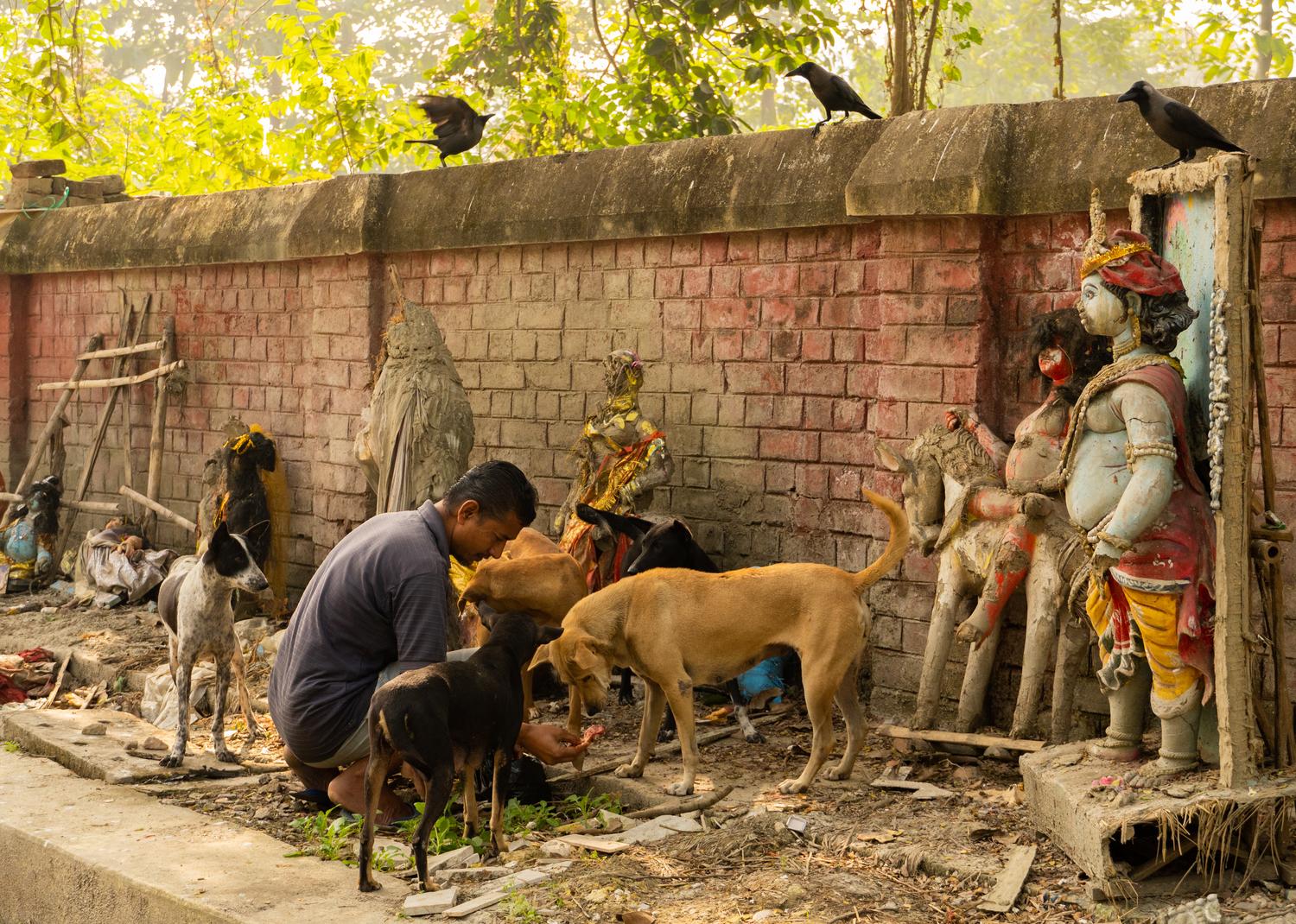 Kolkata, image 6