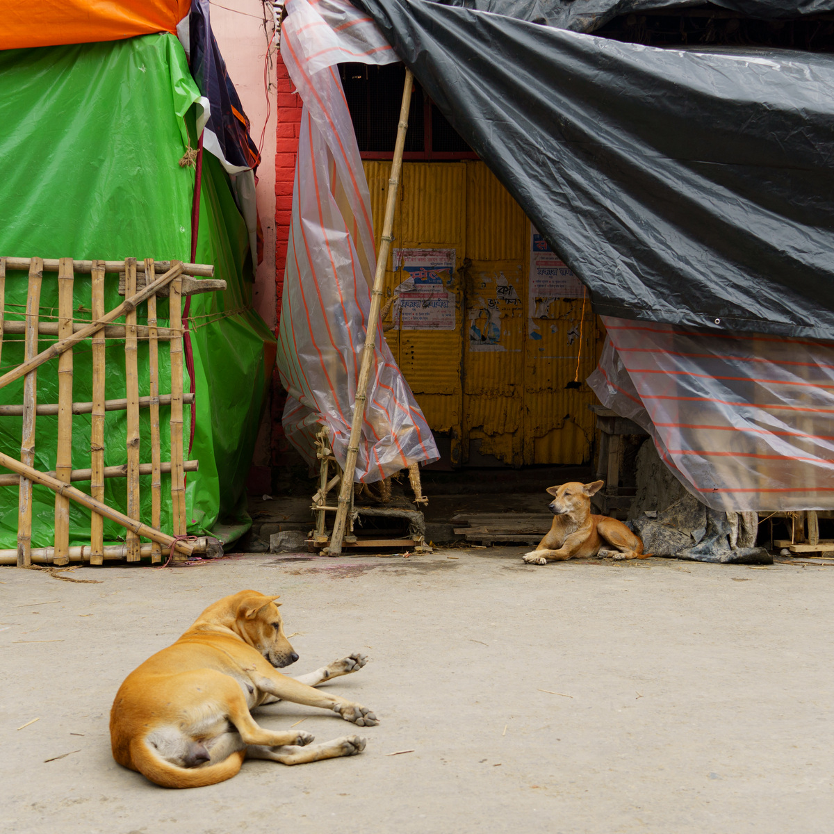Kolkata, image 32