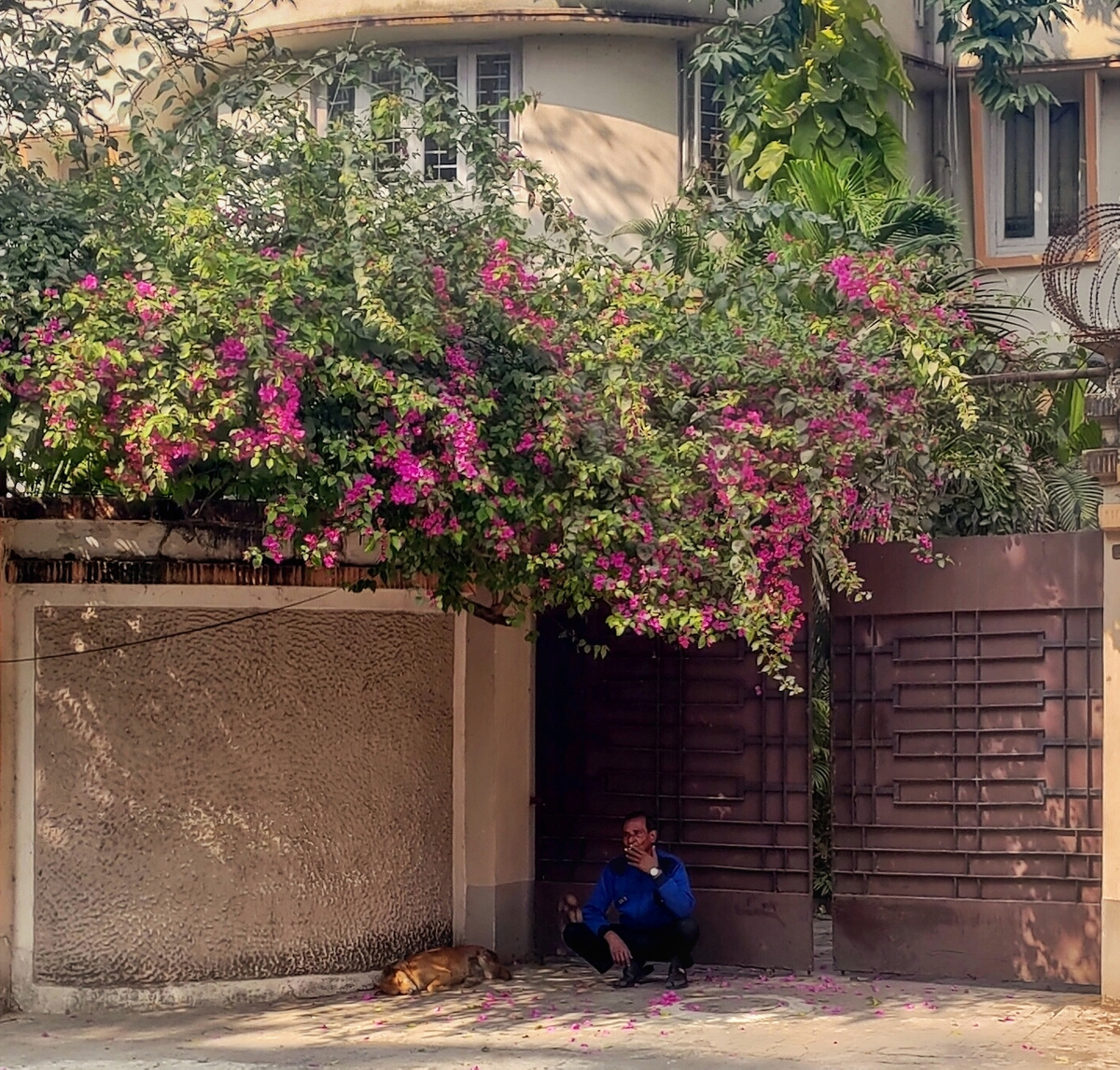Kolkata, image 25