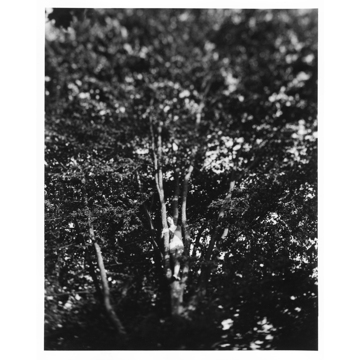 Large Format, image 5
