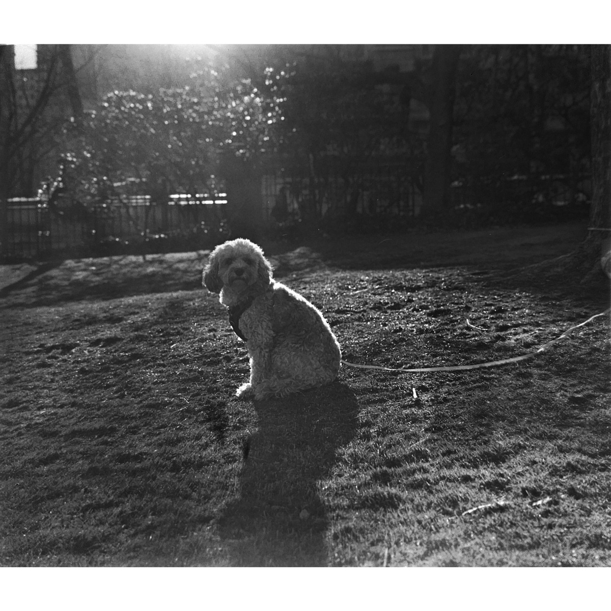Large Format, image 18