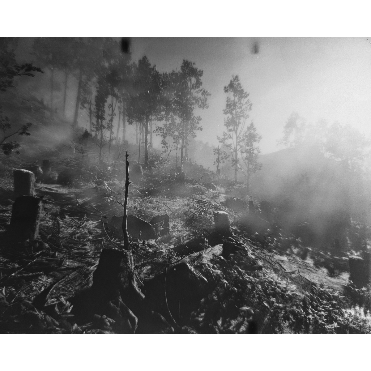 Large Format, image 12