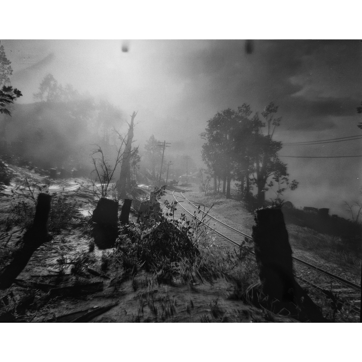 Large Format, image 13