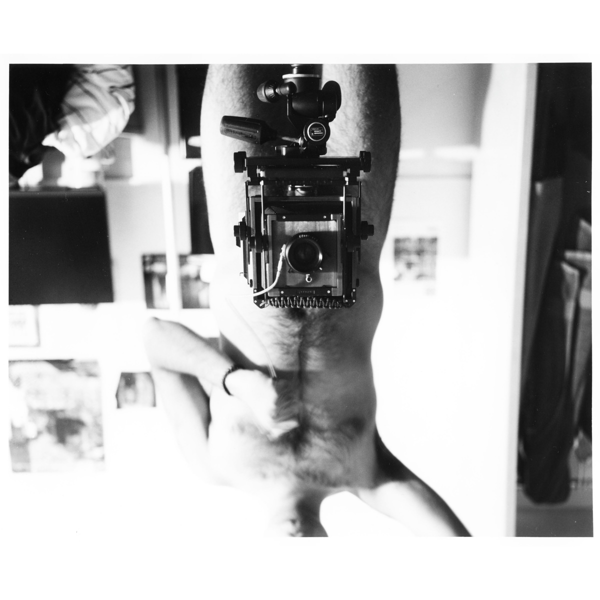 Large Format, image 19