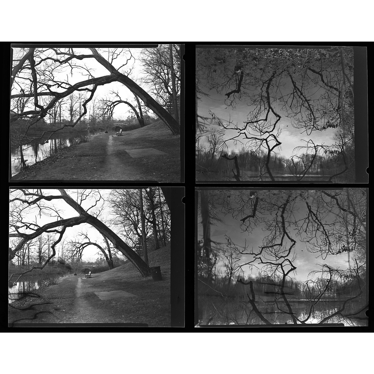 Large Format, image 14