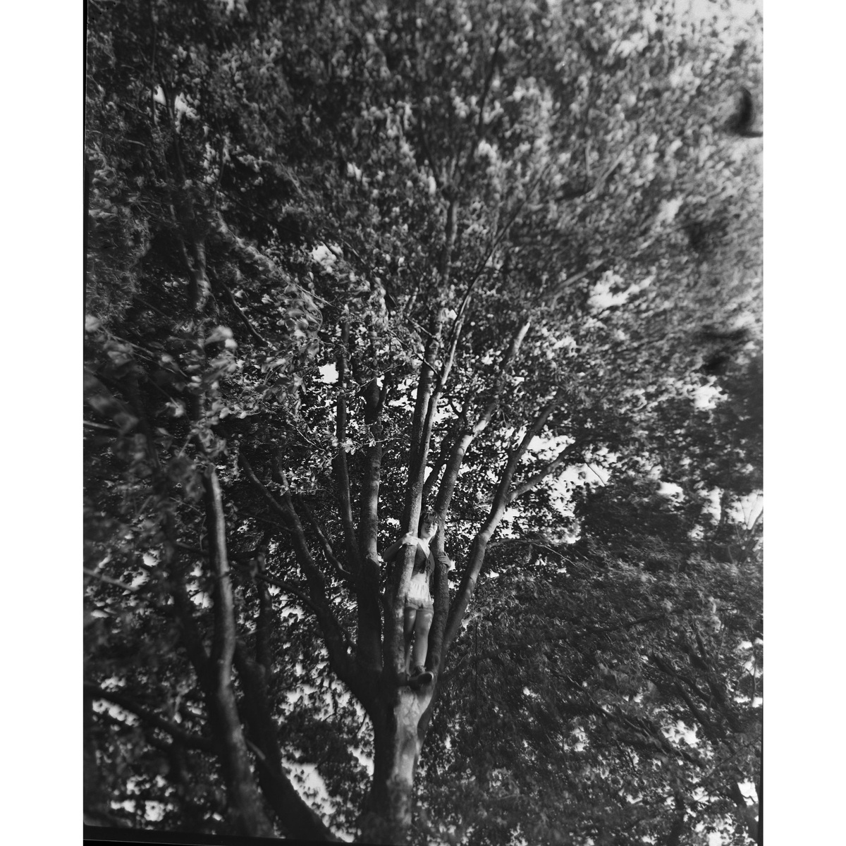 Large Format, image 21