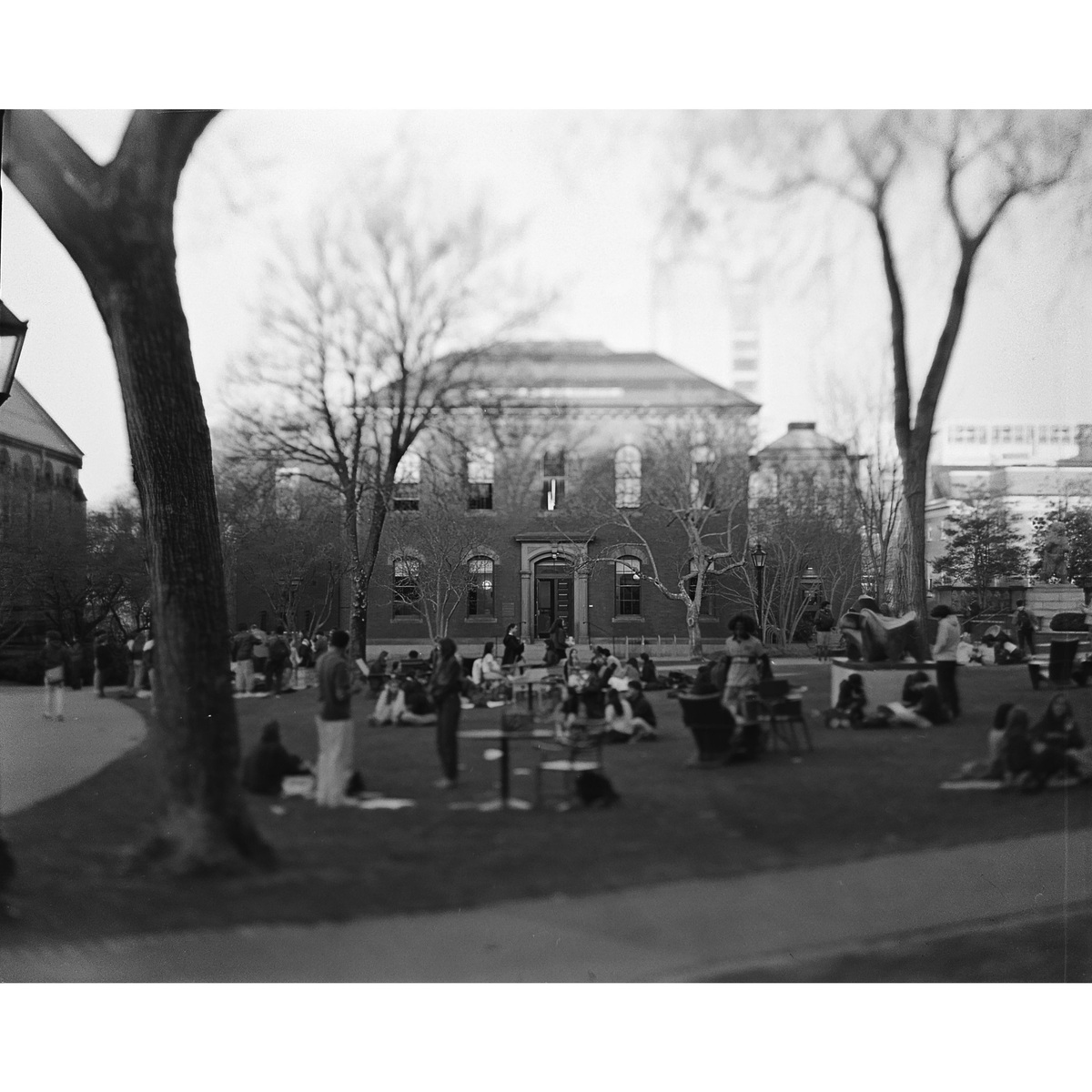 Large Format, image 22