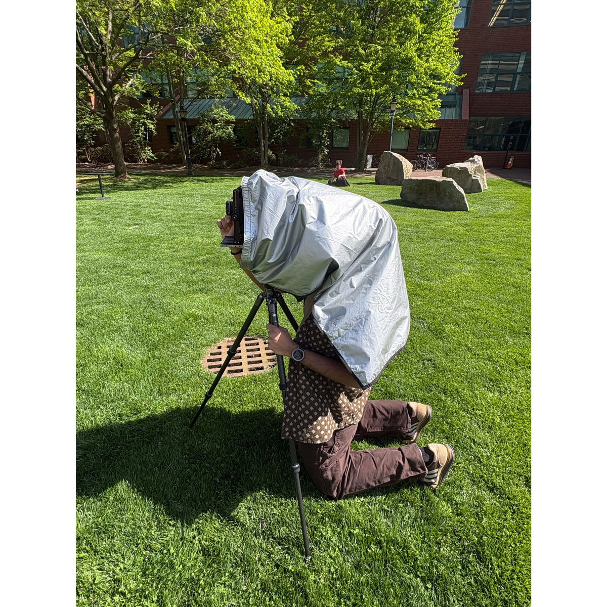 Large Format, image 23