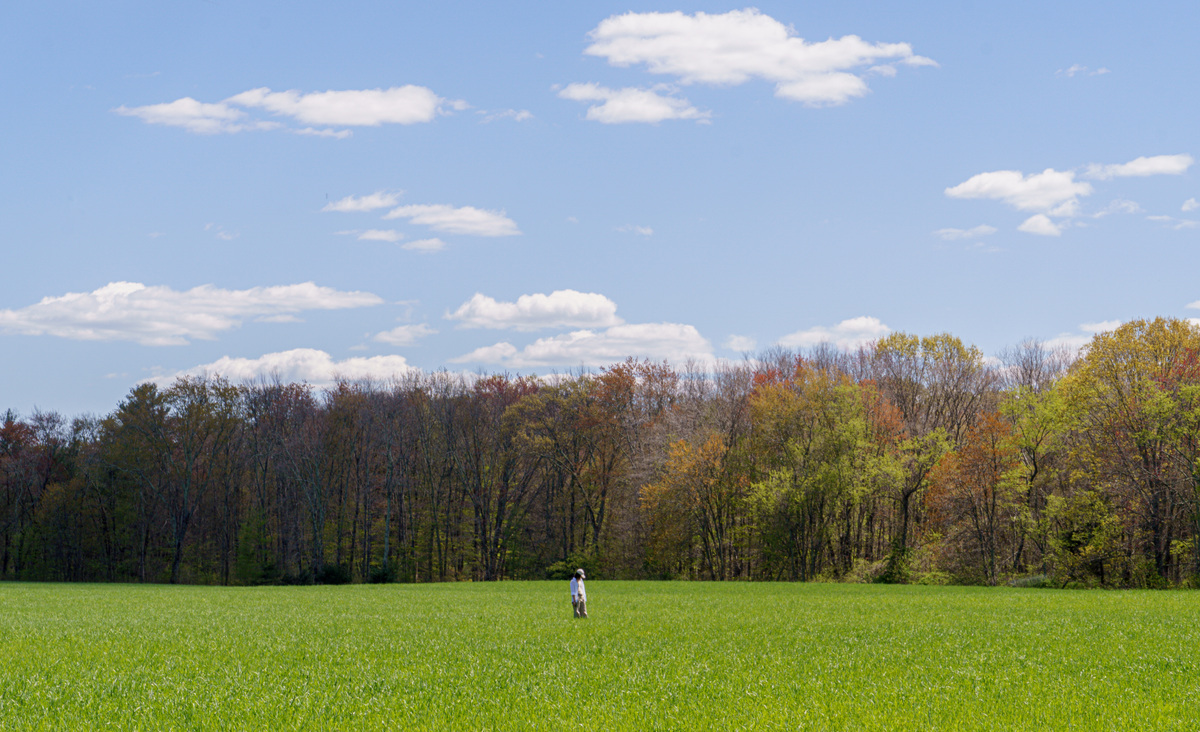 New England/New Home, image 15