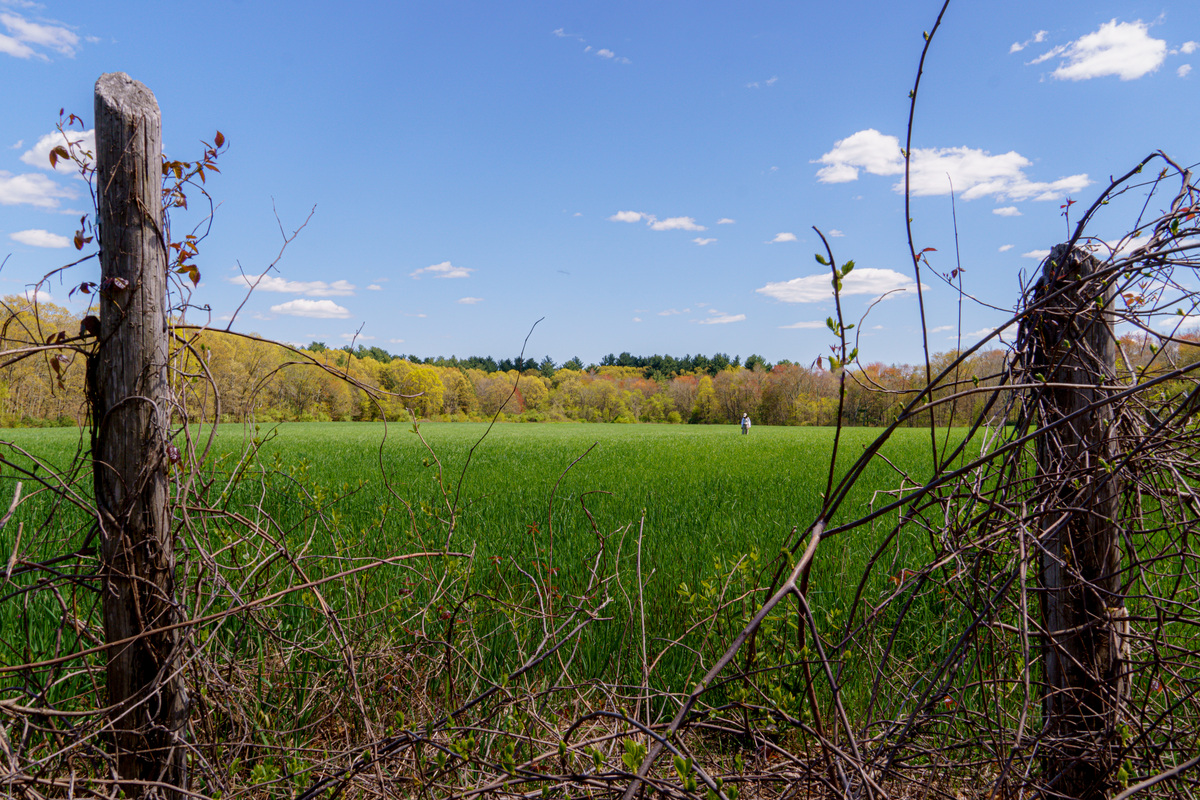 New England/New Home, image 6