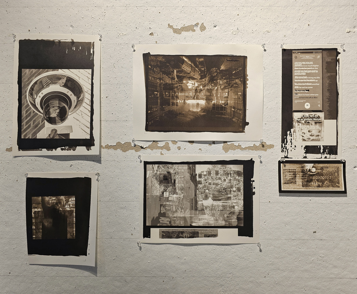 Palladium Prints, 2024, image 5