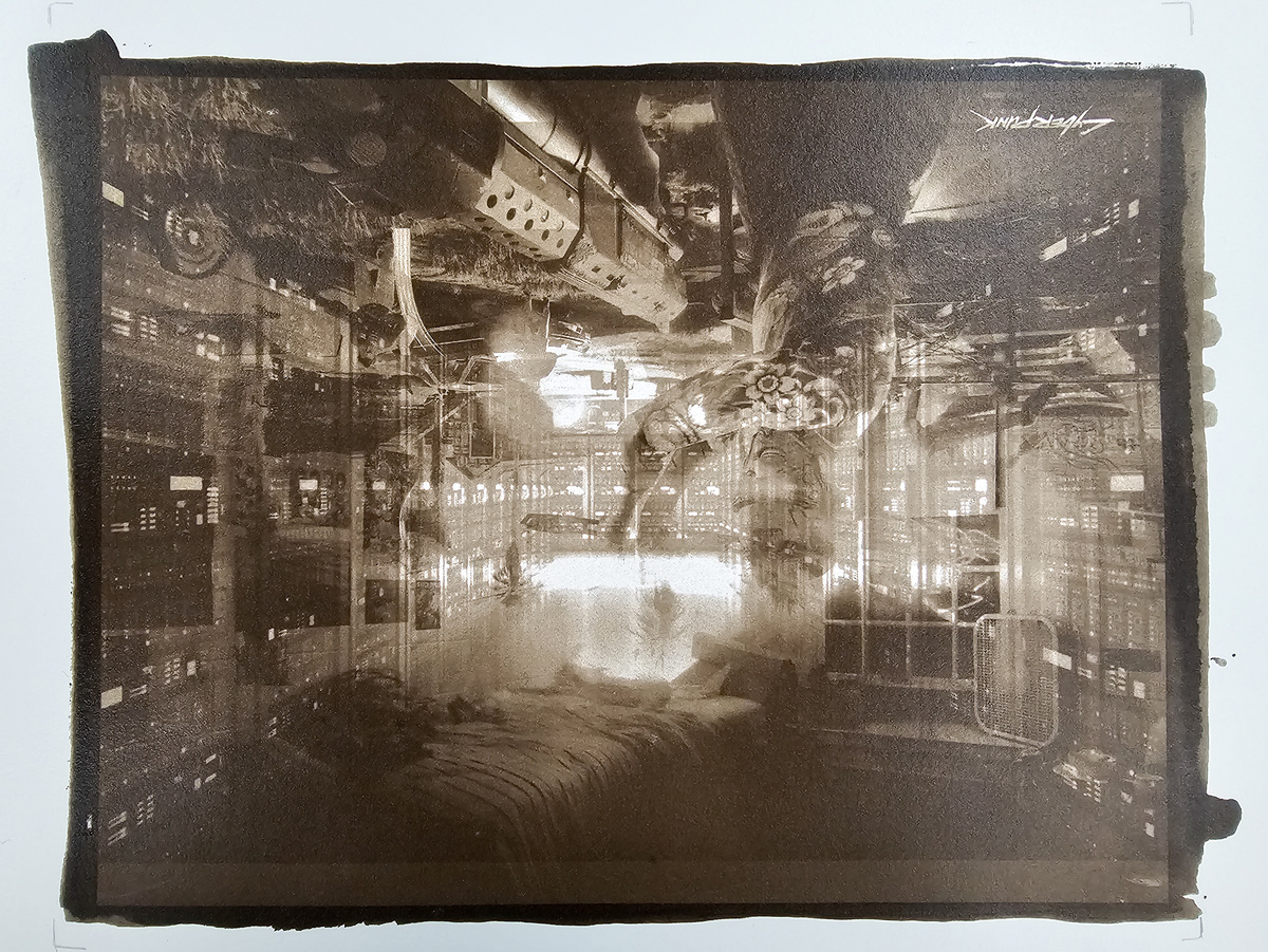 Palladium Prints, 2024, image 7