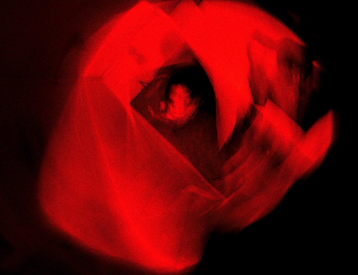 Red- Color Study, image 2