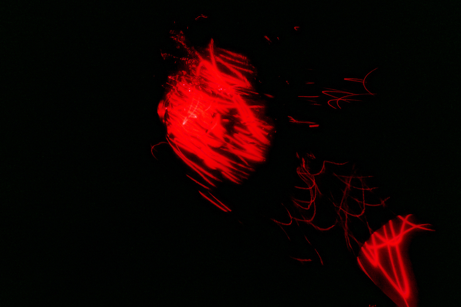 Self-portraits, image 2